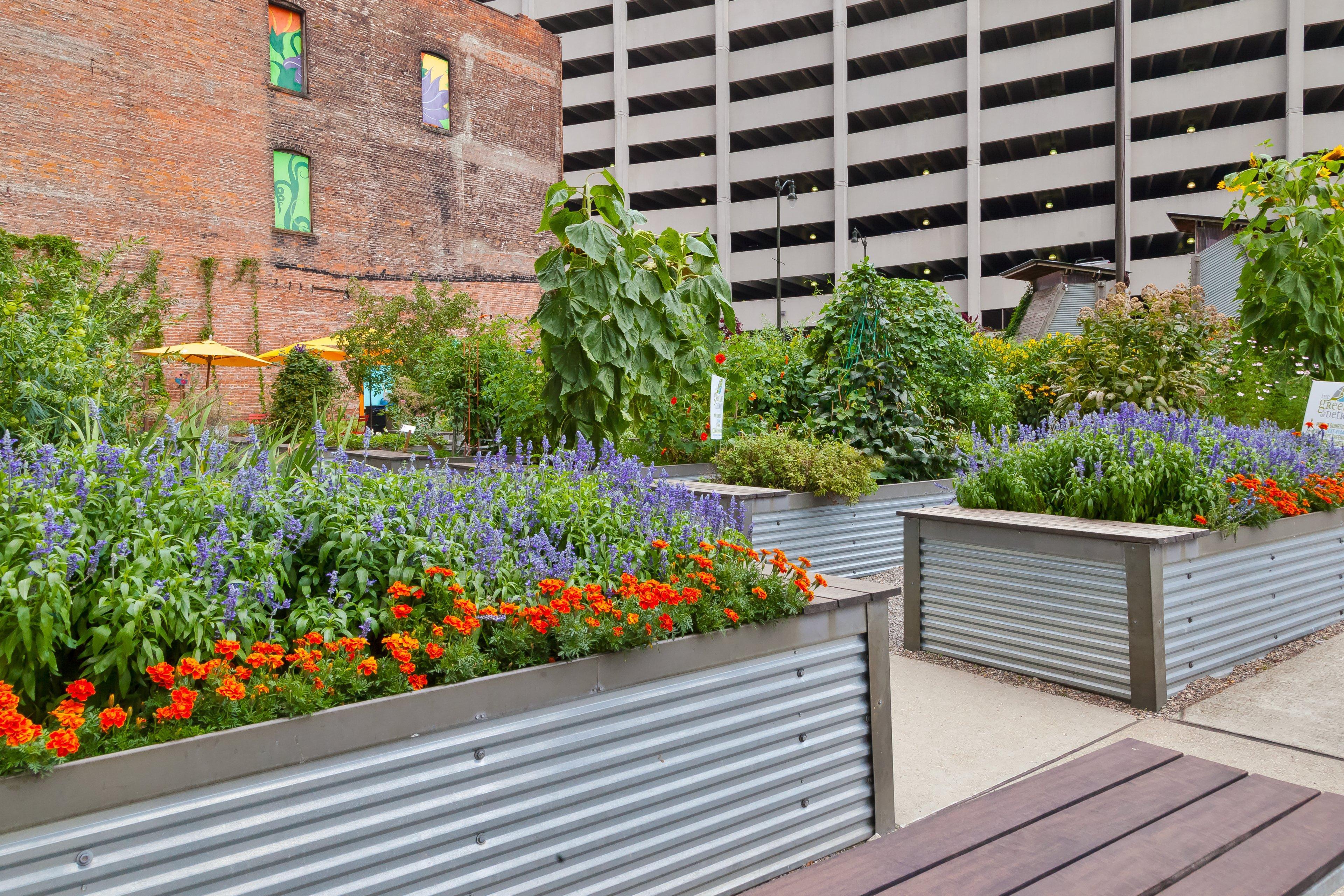 Hotel Indigo Detroit Downtown By Ihg Экстерьер фото